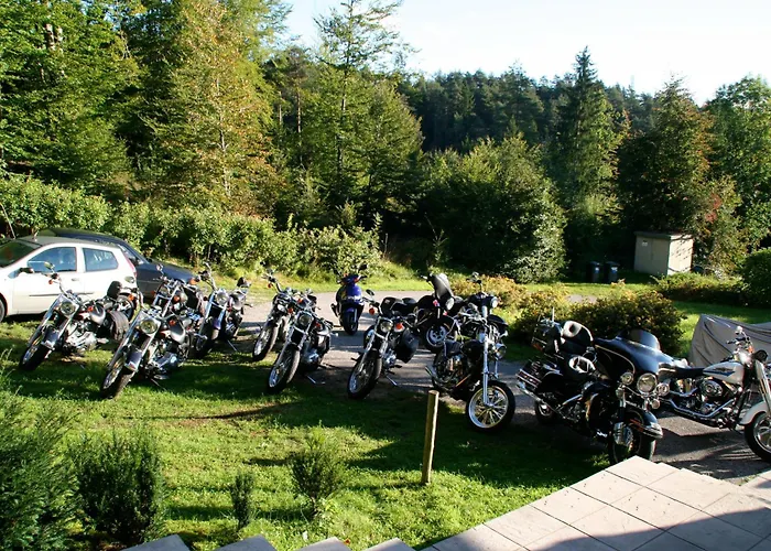 Bergwaldsee