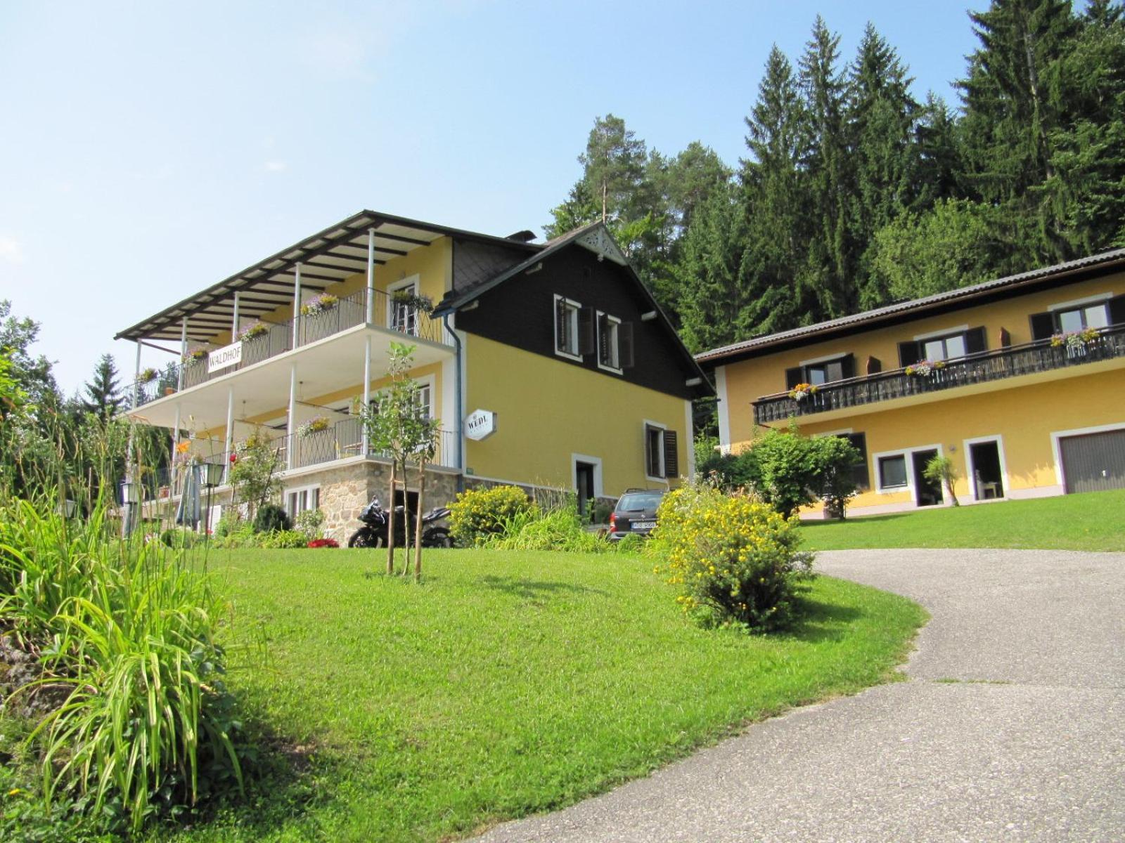 Bergwaldsee *